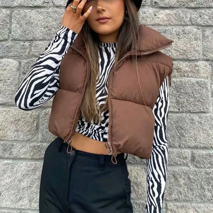 Women Short Cotton Down Vest Sleeveless Warm Stand Up Collar Outerwear Casual Winter Loose Basic Thick Jacket Female Clothes